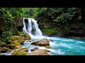 River and Waterfall Sounds 🌙 Calm Audio for Deep Sleep and Relaxation Today