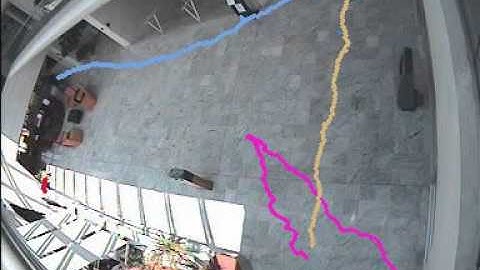 Surveillance video tracking sequence 1