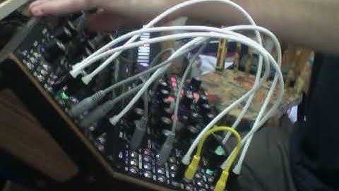 Subharmonicon - Dfam
