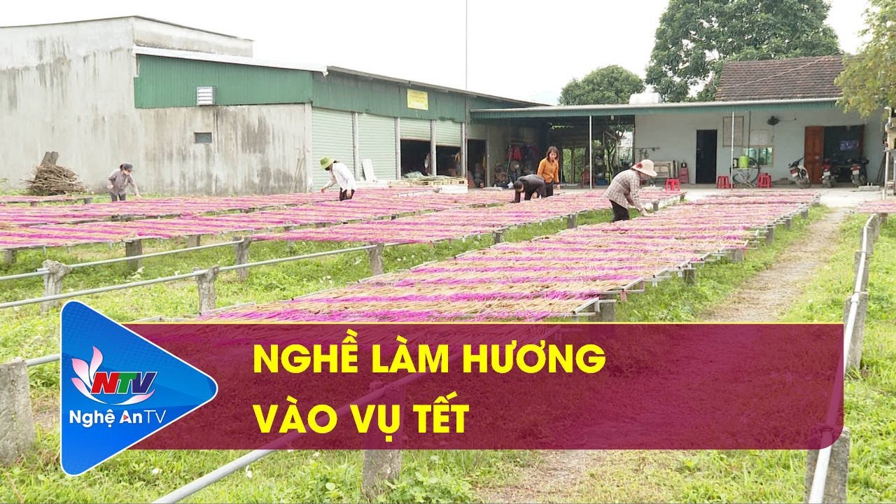 Nghề làm hương vào vụ Tết - youtube