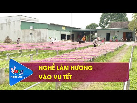 Video Nghề làm hương vào vụ Tết - youtube