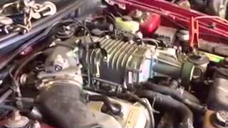 03 cobra engine running