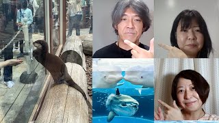 シーパラのリニューアルを語る：LOVE横浜#3