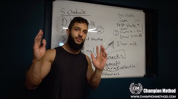 TOTAL RECALL — Full Nutrition Breakdown with Mohammad Qandil | ChampionMethod.