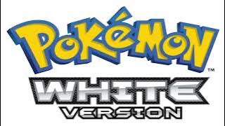 戦闘! ゼクロム・レシラム - ポケットモンスター ブラック & ホワイト