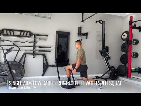 Single Arm Low Cable Front Foot Elevated Split Squat