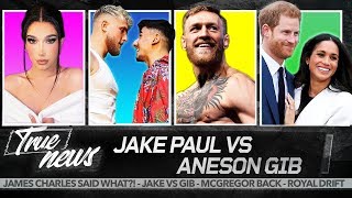 Jake Paul is Risking EVERYTHING vs AnEsonGib