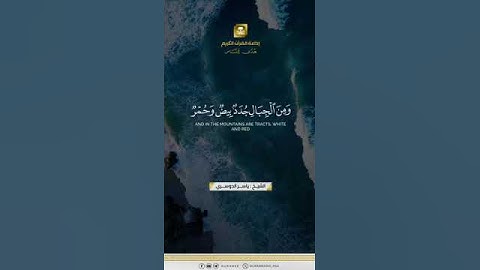 #تلاوة_خاشعة #اكسبلور #duet #دويتو #لايك #راحة_نفسية #اكسبلور