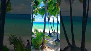 White Sand Beach Boracay Island Philippines  Perfect View Of The Beach At Real Coffee