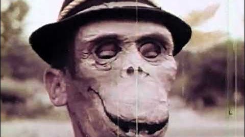 Goddamn Electric Bill - Lost in the Zoo (Music Video)