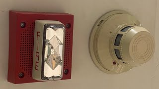 Basement Fire System Test 5 | Edwards 892 and Pre-Integrities