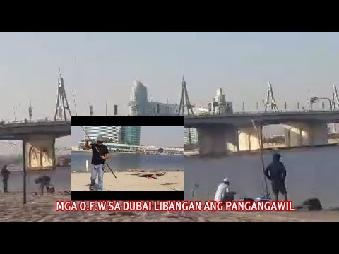 Video: Mga Lungsod Ng Kultura At Libangan