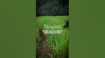 وما يستوي الأعمى والبصير ولا الظلمات ولا النور #القرآن_الكريم #سورة_فاطر #ياسر_الدوسري
