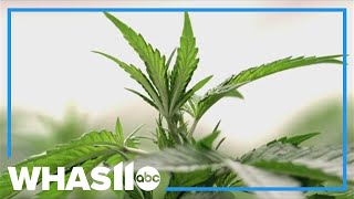 Indiana lawmakers hear testimony on bill that could ban hemp
