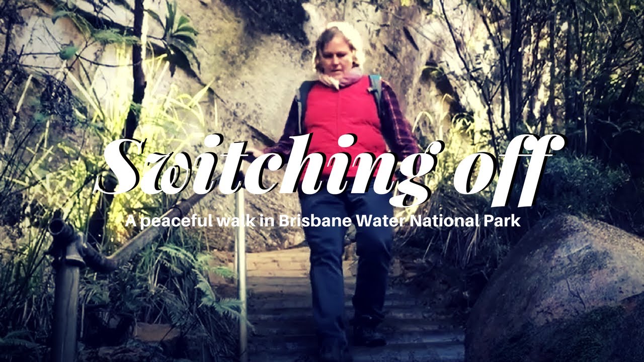 Piles Creek Loop Walk, Brisbane Water National Park