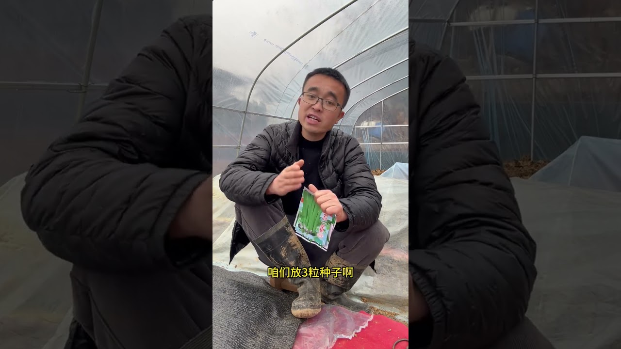 How to Plant & Grow Green Beans: Ultimate Guide