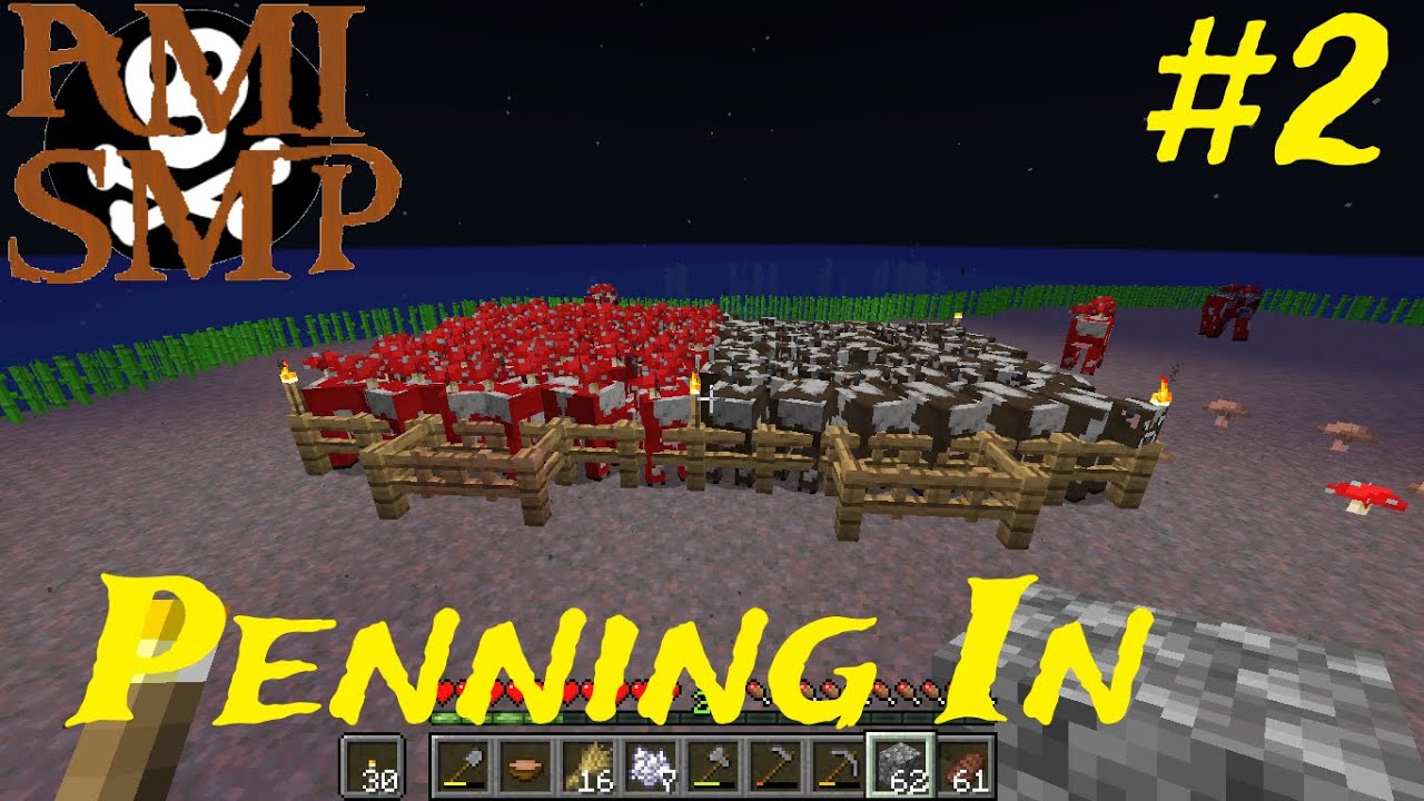AMI SMP - Penning In EP 2