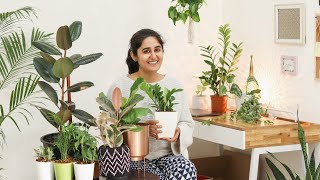 5 Air Purifying Indoor Plants for Styling Your Home| स्टाइलिश हवा शुद्ध करने वाले पौधे