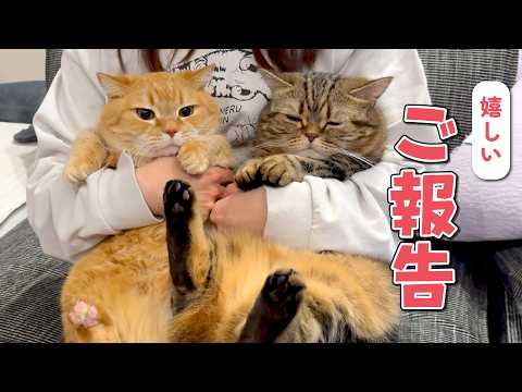 カラメルプリン一家から大切なご報告があります