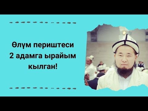 Video: Ээсиз адамга батирде жашоого уруксатты кантип алууга болот