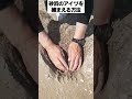 子ども向け海遊びのやり方 #釣り #海遊び #子ども