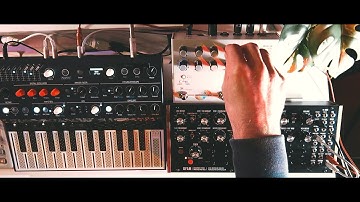 "Waiting For It" Microfreak, Moog DFAM, Matriarch, Microcosm, Elektron Model Cycles (ambient synth)