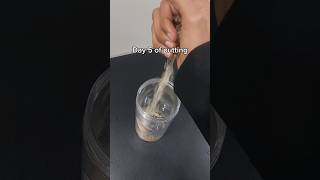 Day 5. Help me out pls:) #day5 #challenge #day