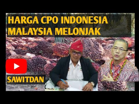 HARGA SAWIT HARI INI SABTU 28 JANUARI 2023, HARGA CPO INDONESIA MALAYSIA MELONJAK