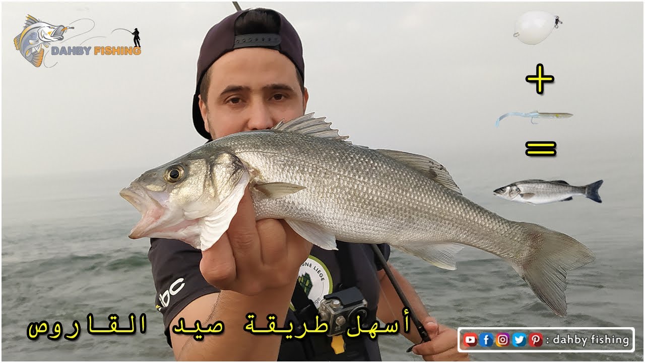 طعم صناعي صغير لكنه خطييير لصيد القاروص جربه ولن تندم