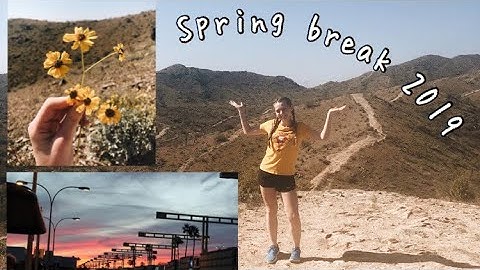 spring break 2019🌵☀️