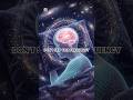 Don't Scroll Past This Healing Energy | 963Hz + 432Hz