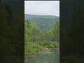Quiet Lake & Birdsong in Hokkaido, Japan 🌿🕊️ #Shorts