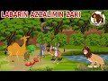 Labarin Azzalimin Zaki The Cruel Lion With English Subtitle Hausa Cartoon