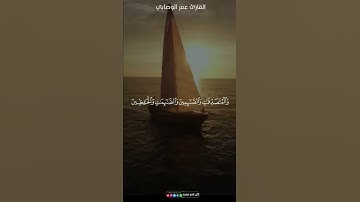 سورة الأحزاب  ▶القارئ عمر الوصابي قراء اليمن