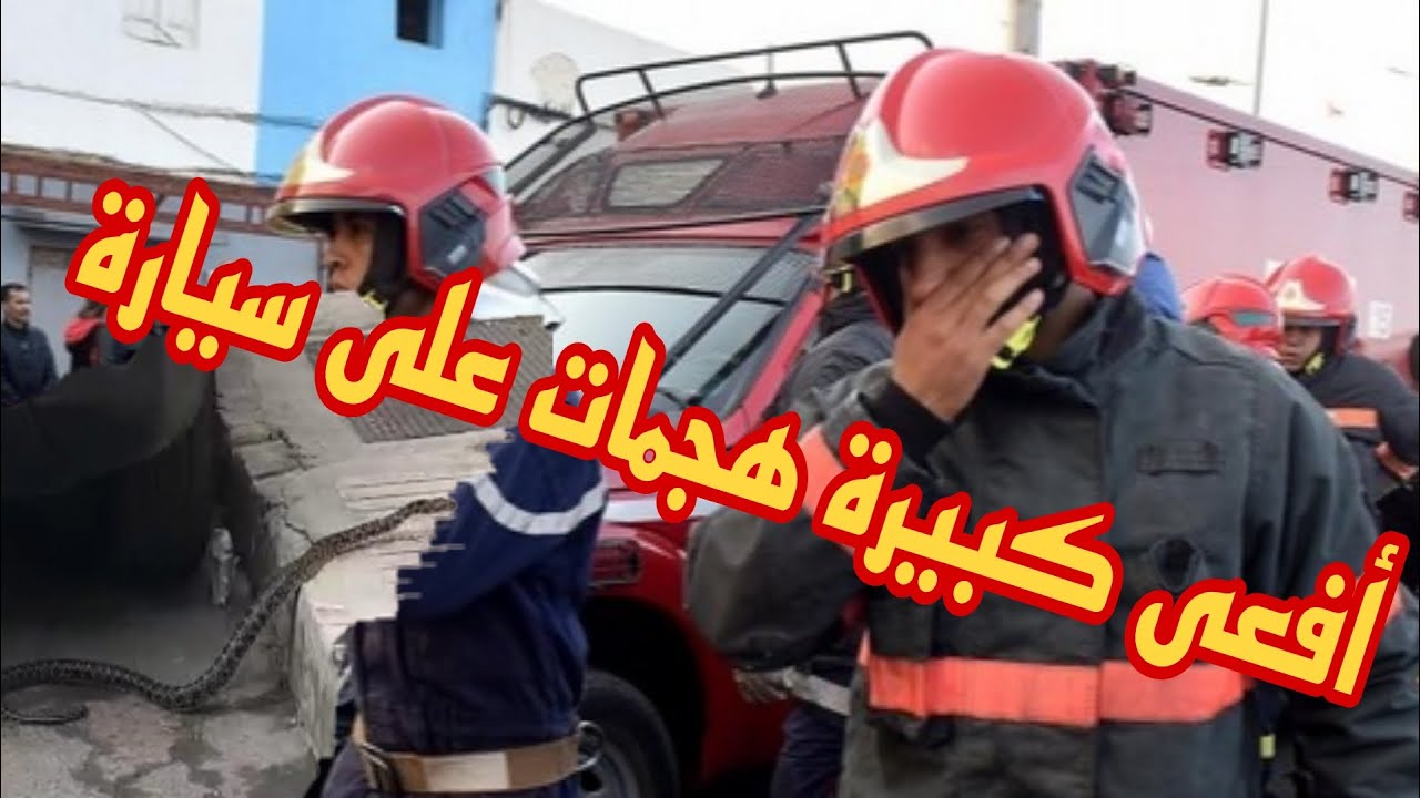 لحظة إخراج أفعى كبيرة دخلات على كزاوي لطوموبيل ديالو بتدخل رجال الوقاية المدنية