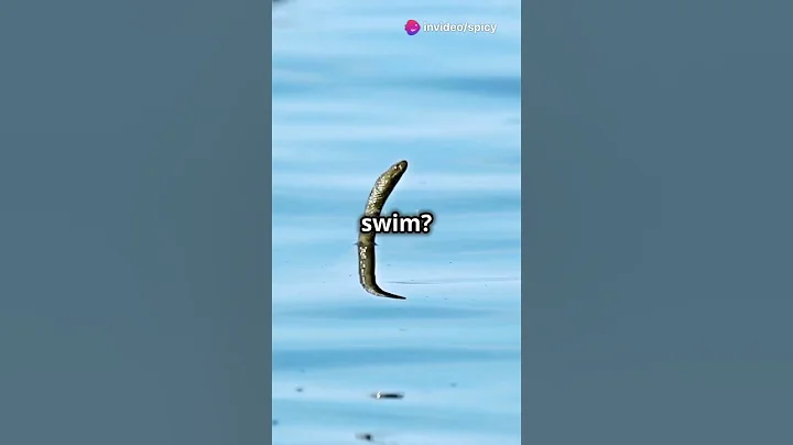 Sssensational Snake Facts You Didn't Know! #snakes #funfacts #wildlife #reptiles #naturelovers