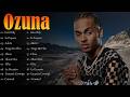 💖🌍 Ozuna - Smooth reggaeton vibes and chart smashing songs winning millions 🎧✨