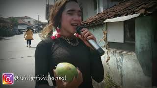 Miss willy tulang rusuk