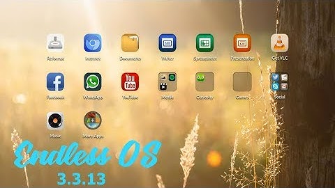 Endless OS  3.3.13 Review