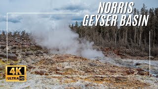 Norris Geyser Basin | Porcelain and Back Basin Trails | Yellowstone National Park
