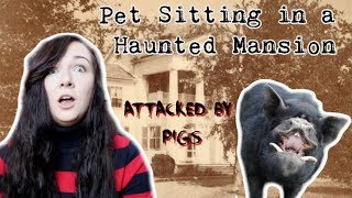 I PET SAT PIGS IN A HAUNTED MANSION | Worst Pet Sitting Experience Storytime by Maddie Smith 4,485 views 4 years ago 14 minutes, 44 seconds