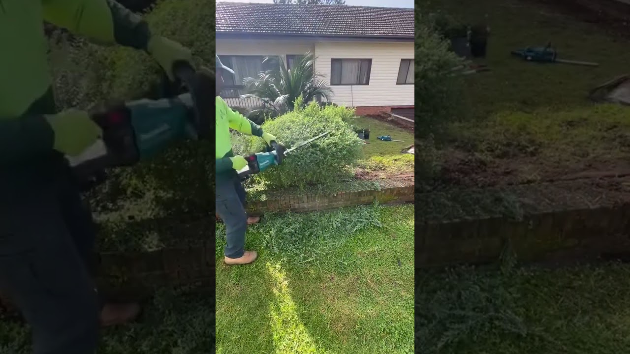 Regular trimming promotes healthy growth and prevents overgrowth, keeping your bushes/hedges in top