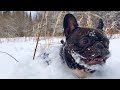 Олег утоп в снегу