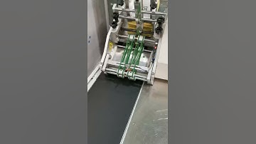 Batch Counting Feeder, Counting Clasped Facial Mask