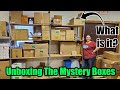 Unboxing the shelves of Mystery Boxes - What in the world will I find? - Selling online!