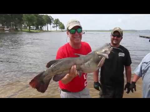 Bend Area Care Spring Catfish Tournament from YouTube · High Definition · Duration: 1 minutes 6 seconds · 35 views · uploaded on 6/8/2014 · uploaded by The Draggon Bend Area Care Spring Catfish Tournament from YouTube · High Definition · Duration: 1 minutes 6 seconds · 35 views · uploaded on 6/8/2014 · uploaded by The Draggon