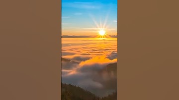 آيات القرآن الكريم من سورة ياسين🌹 #القرآن_الكريم
