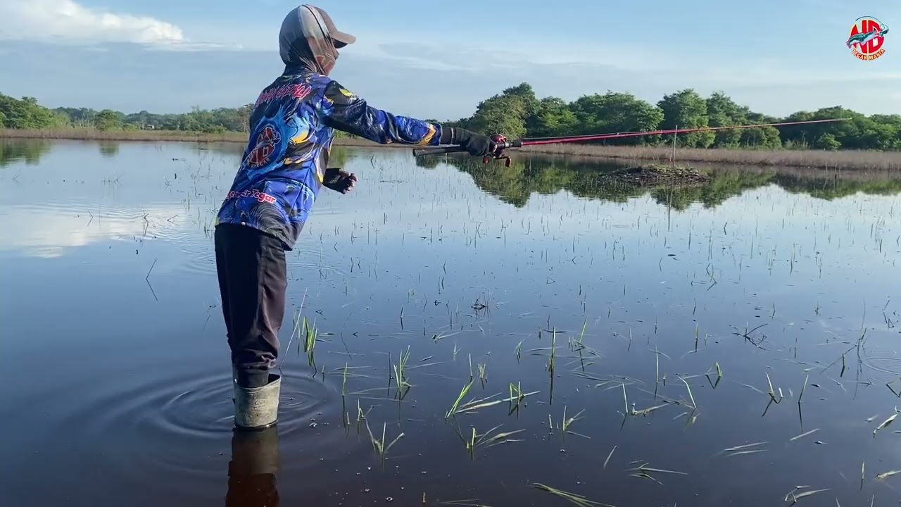 HANYA TISTER”Ternyata Masih Gacor….