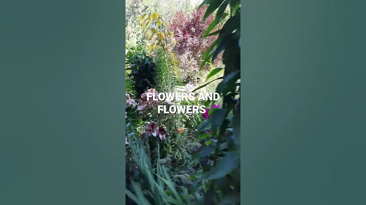 #garden #flowers #relaxing #beautiful #life