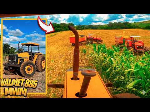 CORTANDO A SILAGEM COM 3 TRATORES COM ENSILADEIRAS ÁREA TOTAL!!! RENDIMENTO DEMAIS🔥🌽